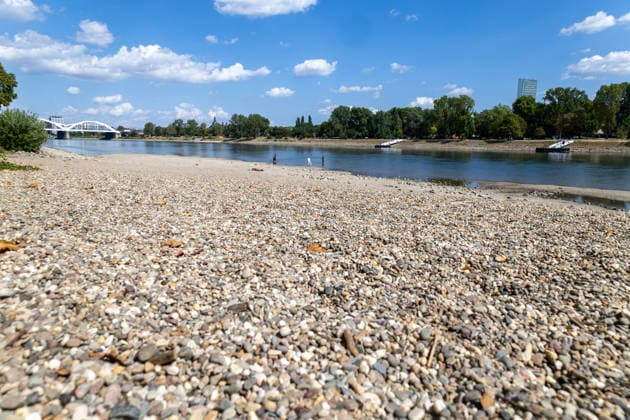Extremely low water levels on the Rhine in Mannheim and Ludwigshafen. At the time the photo was taken, the water level here was 85 cm. The photo was taken on Parkinsel in Ludwigshafen. Copyright: xUdoxHerrmannx