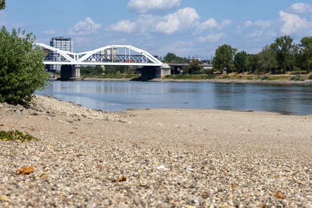 Extremely low water levels on the Rhine in Mannheim and Ludwigshafen. At the time the photo was taken, the water level here was 85 cm. The photo was taken on Parkinsel in Ludwigshafen. Copyright: xUdoxHerrmannx