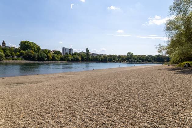 Extremely low water levels on the Rhine in Mannheim and Ludwigshafen. At the time the photo was taken, the water level here was 85 cm. The photo was taken on Parkinsel in Ludwigshafen. Copyright: xUdoxHerrmannx