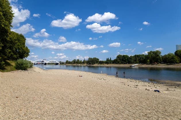 Extremely low water levels on the Rhine in Mannheim and Ludwigshafen. At the time the photo was taken, the water level here was 85 cm. The photo was taken on Parkinsel in Ludwigshafen. Copyright: xUdoxHerrmannx
