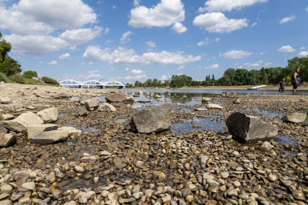 Extremely low water levels on the Rhine in Mannheim and Ludwigshafen. At the time the photo was taken, the water level here was 85 cm. The photo was taken on Parkinsel in Ludwigshafen. Copyright: xUdoxHerrmannx