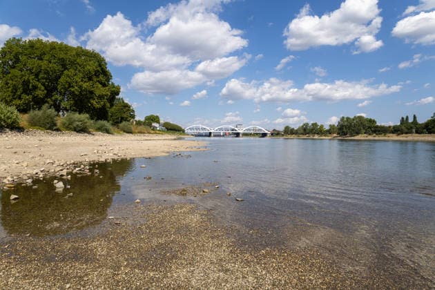 Extremely low water levels on the Rhine in Mannheim and Ludwigshafen. At the time the photo was taken, the water level here was 85 cm. The photo was taken on Parkinsel in Ludwigshafen. Copyright: xUdoxHerrmannx