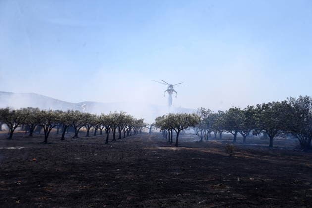 August 5, 2026, Koropi, Greece: Firefighters battle a wildfire in the Koropi area, southeast of Athens, as helicopters carry out repeated water drops to contain the flames. Ground crews worked alongside aerial firefighting units to prevent the fire from spreading amid dry conditions and strong winds. Koropi Greece - ZUMAv62_ 20260805_zaf_v62_003 Copyright: xAristidisxVafeiadakisx
