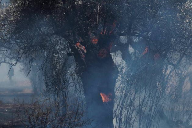August 5, 2026, Koropi, Greece: Firefighters battle a wildfire in the Koropi area, southeast of Athens, as helicopters carry out repeated water drops to contain the flames. Ground crews worked alongside aerial firefighting units to prevent the fire from spreading amid dry conditions and strong winds. Koropi Greece - ZUMAv62_ 20260805_zaf_v62_066 Copyright: xAristidisxVafeiadakisx