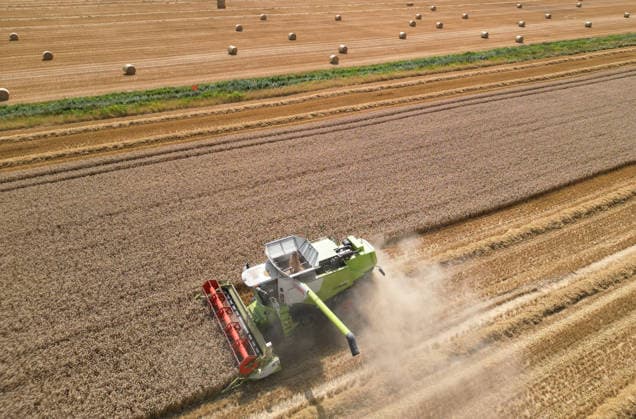 Grain Harvest Reaches Its Peak; Drought Increases Fire Risk In Ditzumerverlaat, in the district of Leer, the grain harvest is in full swing. Combine harvesters are working their way through the bone-dry grain, while thick clouds of dust drift across the fields. The ongoing drought is ever-present, and with every hot day, the risk of a wildf Copyright: xdiebildwerftx