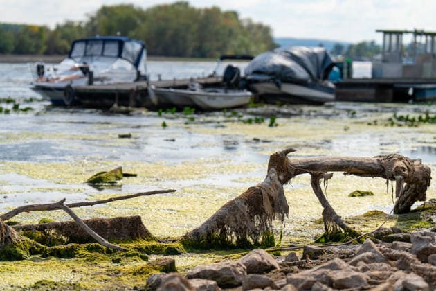 Low Water Levels on the Rhine Near Oestrich-Winkel The Rhine’s water level has reached a historic low. After the water level at Kaub had fallen another eight centimeters over the past 24 hours, it reached August 5, 2026, the level reache