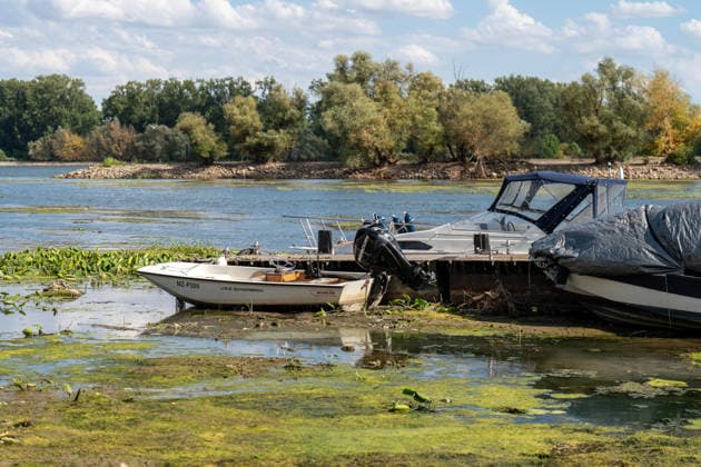 Low Water Levels on the Rhine Near Oestrich-Winkel The Rhine’s water level has reached a historic low. After the water level at Kaub had fallen another eight centimeters over the past 24 hours, it reached August 5, 2026, the level reache