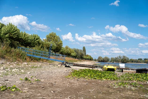 Low Water Levels on the Rhine Near Oestrich-Winkel The Rhine’s water level has reached a historic low. After the water level at Kaub had fallen another eight centimeters over the past 24 hours, it reached August 5, 2026, the level reache