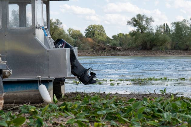Low Water Levels on the Rhine Near Oestrich-Winkel The Rhine’s water level has reached a historic low. After the water level at Kaub had fallen another eight centimeters over the past 24 hours, it reached August 5, 2026, the level reache