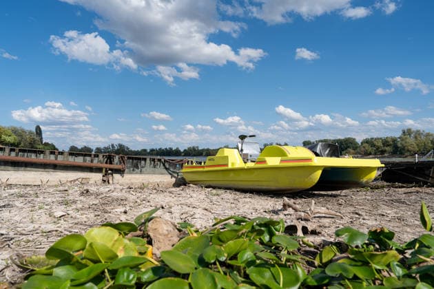 Low Water Levels on the Rhine Near Oestrich-Winkel The Rhine’s water level has reached a historic low. After the water level at Kaub had fallen another eight centimeters over the past 24 hours, it reached August 5, 2026, the level reache