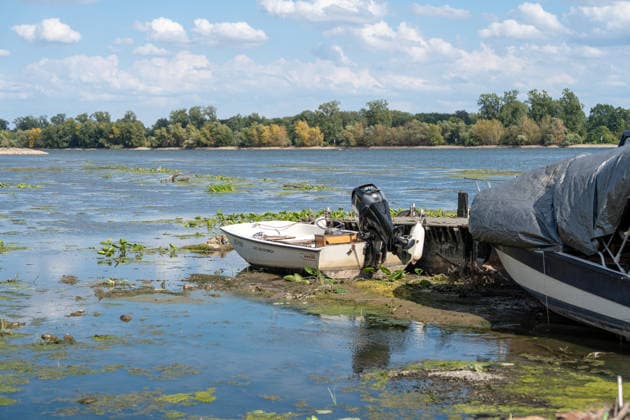 Low Water Levels on the Rhine Near Oestrich-Winkel The Rhine’s water level has reached a historic low. After the water level at Kaub had fallen another eight centimeters over the past 24 hours, it reached August 5, 2026, the level reache