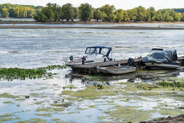 Low Water Levels on the Rhine Near Oestrich-Winkel The Rhine’s water level has reached a historic low. After the water level at Kaub had fallen another eight centimeters over the past 24 hours, it reached August 5, 2026, the level reache