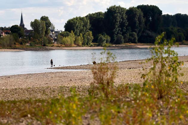 The Rhine’s water level in Cologne and Bonn is at a record low. Many of the Rhine’s floodplains have dried up and turned into scrubland, and the river—usually so mighty—has receded deep into its bed, revealing dry banks. At 67 cm over the weekend, the water level was lower than it has ever been since records began. Featured image, stock photo: Cologne, August 5, 2026, North Rhine-Westphalia Copyright: xChristophxHardtx