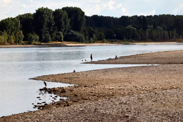 The Rhine’s water level in Cologne and Bonn is at a record low. Many of the Rhine’s floodplains have dried up and turned into scrubland, and the river—usually so mighty—has receded deep into its bed, revealing dry banks. At 67 cm over the weekend, the water level was lower than it has ever been since records began. Featured image, stock photo: Cologne, August 5, 2026, North Rhine-Westphalia Copyright: xChristophxHardtx