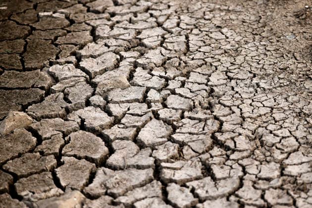 The dried-up riverbed of the Rhine is cracking open. The Rhine’s water level in Cologne and Bonn is at a record low. Many of the Rhine’s floodplains have withered and turned into scrubland, and the river—usually so mighty—has retreated deep into its bed, revealing dry banks. At 67 cm over the weekend, the water level was lower than ever bef Copyright: xChristophxHardtx