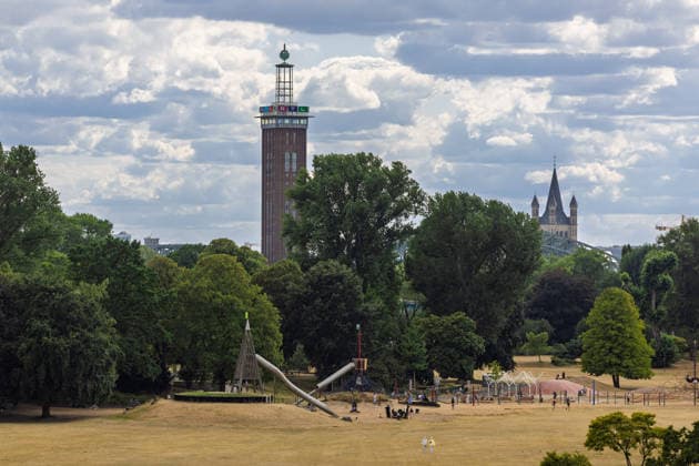 Parched meadows in the Rheinpark in front of Cologne Cathedral; view from the Rheinpark in Cologne-Deutz of the former Messeturm, now part of the RTL Group. Persistent heat and drought are causing the meadows of the park—which was created in 1957 for the Federal Horticultural Show—to dry up, yet walkers still use the green space for a stroll. Cologne Rheinpark North Rhine-W Copyright: xMarcxJohnx