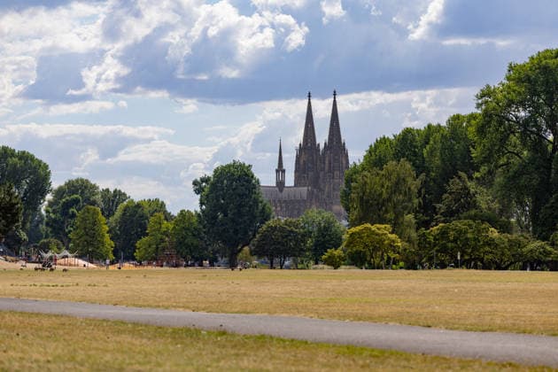 Parched meadows in the Rheinpark in front of Cologne Cathedral; view of Cologne Cathedral from the Rheinpark in Cologne-Deutz; persistent heat and drought are causing the meadows of the park—which was created in 1957 for the Federal Horticultural Show—to dry up, but walkers are still using the park for a stroll Cologne Rheinpark North Rhine-Westphalia Germany Copyright: xMarcxJohnx
