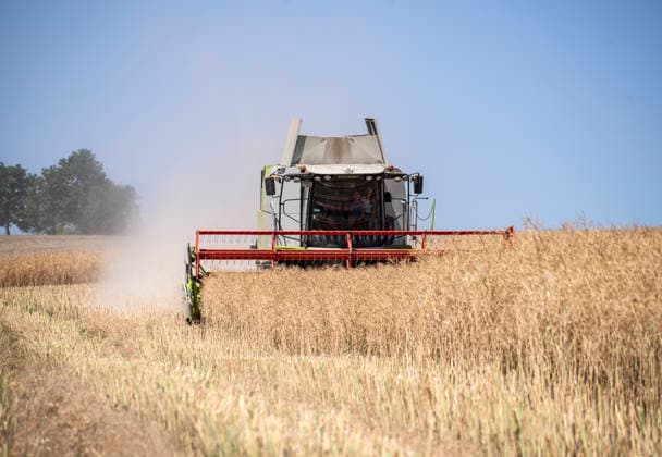 Nuremberg: Combine Harvester in the Field On a sunny summer day, a farmer is harvesting a large rapeseed field near Burghaslach in Franconia, Bavaria, with his Claas Tucano combine harvester. The harvested grains are collected in a grain tank until it is em