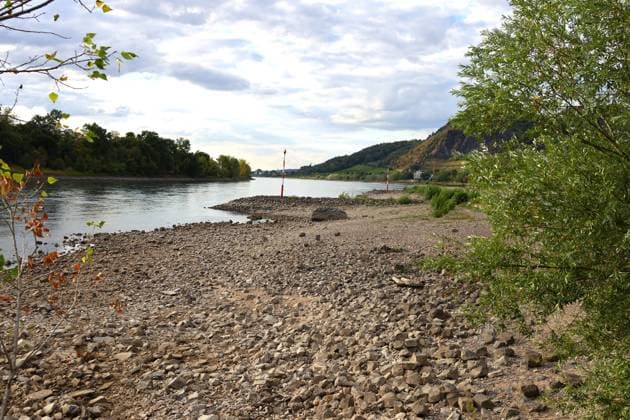 Bad Honnef, Germany, Nature, Climate, Summer, Drought, Rhine, Low Water, Grafenwerth, Bad Honnef, Bonn, North Rhine-Westphalia, Germany, August 5, 2026 The extremely low water level in the Rhine, shown here near Grafenwerth Island in Bad Honnef, has left many boats stranded on dr Copyright: xEibner-Pressefoto JuergenxAugstx EP_JAT