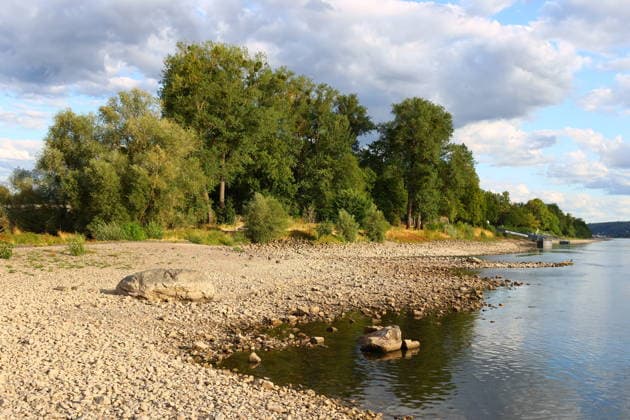 Bad Honnef, Germany, Nature, Climate, Summer, Drought, Rhine, Low Water, Grafenwerth, Bad Honnef, Bonn, North Rhine-Westphalia, Germany, August 5, 2026 The extremely low water level in the Rhine, shown here near Grafenwerth Island in Bad Honnef, has left many boats stranded on dr Copyright: xEibner-Pressefoto JuergenxAugstx EP_JAT