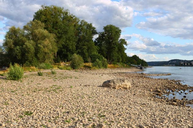 Bad Honnef, Germany, Nature, Climate, Summer, Drought, Rhine, Low Water, Grafenwerth, Bad Honnef, Bonn, North Rhine-Westphalia, Germany, August 5, 2026 The extremely low water level in the Rhine, shown here near Grafenwerth Island in Bad Honnef, has left many boats stranded on dr Copyright: xEibner-Pressefoto JuergenxAugstx EP_JAT