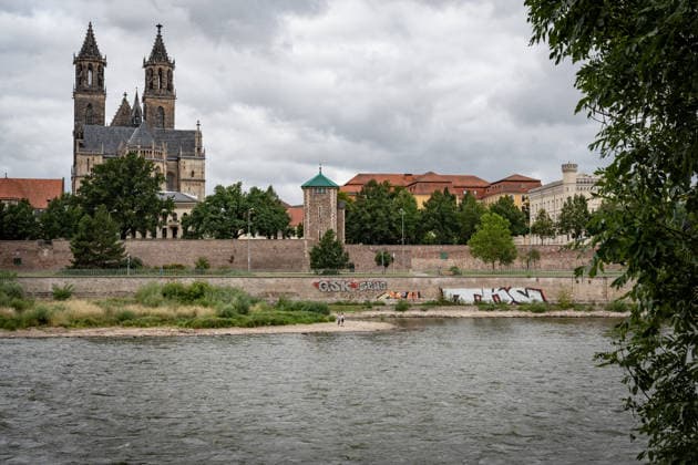 Significantly lower water level in the Elbe in August 2026, with Magdeburg Cathedral; low water level of the Elbe in Magdeburg in the summer of 2026, Magdeburg, Saxony-Anhalt, Germany, banks of the Elbe