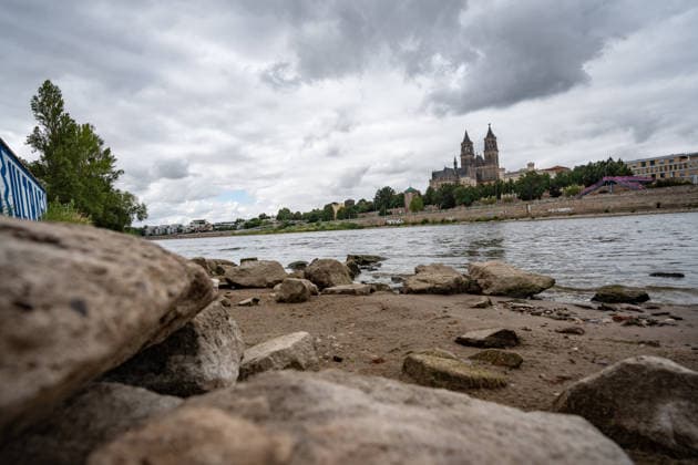 Significantly lower water level in the Elbe River in August 2026, with Magdeburg Cathedral in the background; low water level of the Elbe River in Magdeburg in the summer of 2026, Magdeburg, Saxony-Anhalt, Germany, banks of the Elbe River