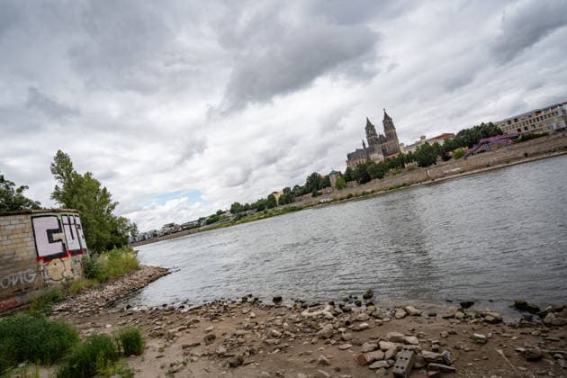 Significantly lower water level in the Elbe in August 2026, with Magdeburg Cathedral; low water level of the Elbe in Magdeburg in the summer of 2026, Magdeburg, Saxony-Anhalt, Germany, banks of the Elbe