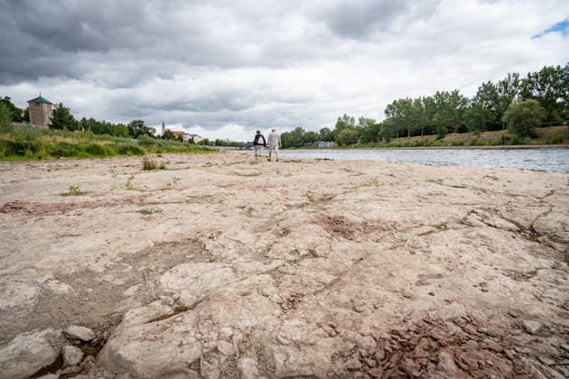 Significantly lower water levels in the Elbe in August 2026 Low water levels in the Elbe in Magdeburg in the summer of 2026, Magdeburg, Saxony-Anhalt, Germany, on the banks of the Elbe