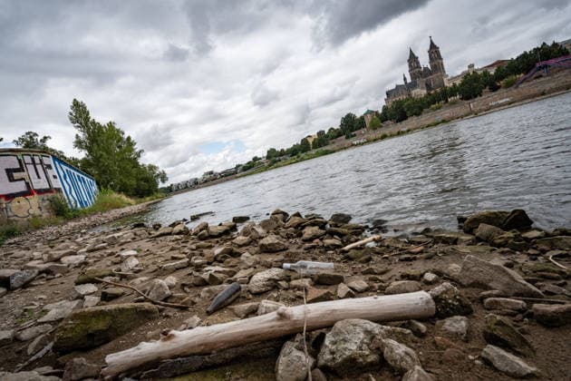 Significantly lower water level in the Elbe in August 2026, with Magdeburg Cathedral; low water level of the Elbe in Magdeburg in the summer of 2026, Magdeburg, Saxony-Anhalt, Germany, banks of the Elbe