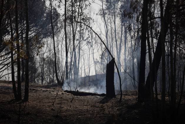 The number of ground personnel fighting the fire in Niebla has increased to 150, with 18 aerial resources. Area affected by the wildfire that broke out in the town of Niebla, Huelva. August 7, 2028, in Niebla, Huelva, Andalusia, Spain: Andalusia’s Forest Fire Emergency Plan (Plan Infoca) has increased the number of ground personnel from 80 to 150 this Friday to contain the forest fire that broke out Thursday afternoon in the Raboconejo area of Niebla, Huelva, which remains in the emergency phase, Operational Level 1, and which has forced the preventive evacuation of 23 residents from the hamlets of Raboconejo and Caballón. Likewise, 18 aerial resources continue to operate in the area. AUGUST 7, 2026 Niebla, Huelva, Andalusia, Spain Niebla, Copyright: xClaraxCarrascox 7705143