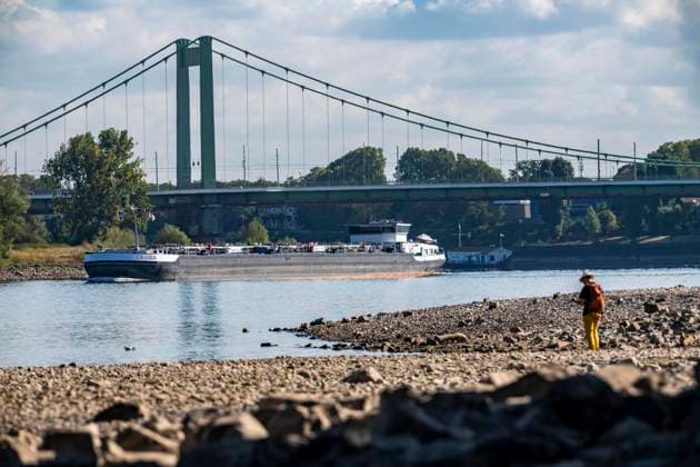 Low water levels in the Rhine near Cologne, View looking north from the right bank of the Rhine at Rheinpark, Mülheim Rhine Bridge; inland waterway traffic is severely restricted, with only a few ships sailing—and those with greatly reduced cargo. On the day this photo was taken, the Rhine water level in Cologne was the lowest ever recorded to date: 60 cm, North Rhine-Westphalia, Ge