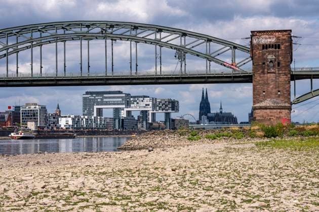 Low water levels on the Rhine near Cologne; view from the right bank of the Rhine across the Poller Wiesen, looking north toward the Südbrücke, the downtown skyline with the cathedral; inland waterway shipping is severely restricted, with only a few ships operating—and those with greatly reduced cargo; on the day this photo was taken, the Rhine wa