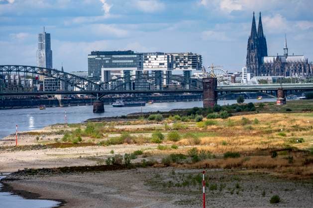 Low water levels on the Rhine near Cologne; view from the right bank of the Rhine across the Poller Wiesen, looking north toward the Südbrücke, the downtown skyline with the cathedral; inland waterway shipping is severely restricted, with only a few ships operating—and those with greatly reduced cargo; on the day this photo was taken, the Rhine wa