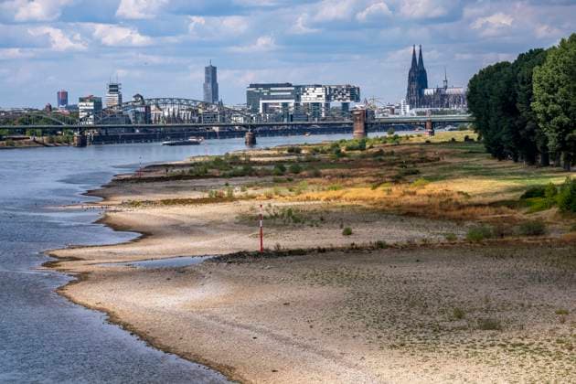 Low water levels on the Rhine near Cologne; view from the right bank of the Rhine across the Poller Wiesen, looking north toward the Südbrücke, the downtown skyline with the cathedral; inland waterway shipping is severely restricted, with only a few ships operating—and those with greatly reduced cargo; on the day this photo was taken, the Rhine wa