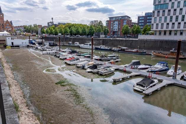 Low water levels in the Rhine near Cologne; the Rheinauhafen; motorboats at the dock, some of which are aground; on the day this photo was taken, the water level in Cologne was the lowest ever recorded—60 cm—North Rhine-Westphalia, Germany; Low Water Rhine K