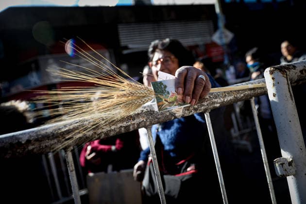 San Cayetano in Buenos Aires, Argentina - 7 Aug 2026 A devotee holds stalks of wheat during the feast of San Cayetano. Small prayer cards bearing the saint s image and stalks of wheat—representing bread—are a common sight every August 7th, the feast day of San Cayetano, the patron saint of bread and work. Buenos Aires Argentina Copyright: xRobertoxTuerox xSOPAxImagesx ROBTUERO_20260807278