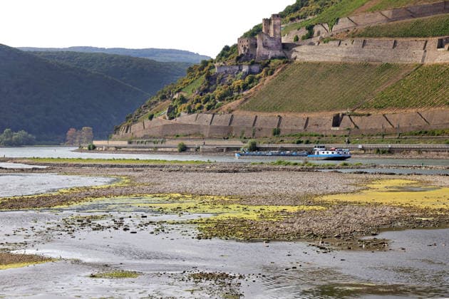 August 7, 2026, Bingen, Germany: Low water levels on the Rhine as seen from Bingen. A cargo ship is slowly navigating through the remaining channel. On the right, against the hillside, are the ruins of Ehrenfels Castle. In the foreground is the confluence with the Nahe River.