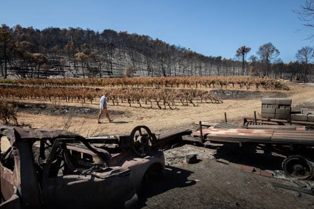 DAMAGE CAUSED TO VINEYARDS BY FIRES PHOTO PQR NICE MATIN CAMILLE DODET Correns Correns Correns Correns August 8, 2026 Photo PQR Camille Dodet Var Matin August 8, 2026 Correns, Var. After the fire that struck Correns, winegrowers are assessing the losses caused by the fire on the affected plots. In pictures. Photo: PQR Camille Dodet, Var Matin, August 8, 2026. Correns, Var. After the fire that struck Correns, winegrowersare assessing the losses caused by the fire’s passage through the damaged plots. In pictures: Fabien Mistre, president of the Correns Winegrowers’ Cooperative, walks through the rows of burned vines. Photo: PQR Camille Dodet, Var Matin, August 8, 2026. Correns Var After the fire that struck Correns, winemakers are assessing Copyright: xPHOTOPQR NICExMATIN MAXPPPxCAMILLExDODETx 20260808NIM4880 20260808NIM4880