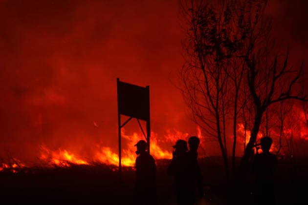 Firefighters battle forest fire in Indonesia s South Sumatra Province SOUTH SUMATRA, INDONESIA - AUGUST 8: Firefighters carry out operations to extinguish a forest fire in a wooded area of South Sumatra province, Indonesia on August 8, 2026. Efforts to control and suppress the blaze remain ongoing as emergency response teams work non-stop to contain the spread. Muhammad Fajri Anadolu South Sumatra Indonesia. Editorial use only. Please get in touch for any other usage.  Copyright: x2026xAnadoluxMuhammadxFajrix