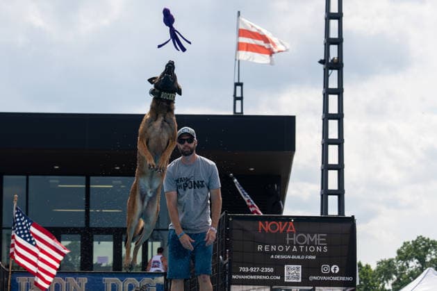 August 8, 2026, Washington, District Of Columbia, U.S.: A canine competitor jumps into the pool during the DockDogs Big Air competition at The Wharf in Washington, DC. Washington U.S. - ZUMAh210 20260808_znp_h210_005 Copyright: xDavidxHansenx