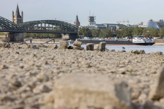 Summer in the Rhineland: View of the Rhine near Cologne, Deutz. The Rhine in Cologne is at low water levels due to persistent drought. In the background is the Hohenzollern Bridge. A ship is passing by. Summer in the Rhineland on August 9, 2026, in Cologne, Germany