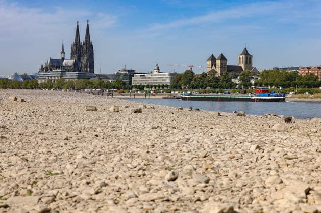 Summer in the Rhineland: View of the Rhine near Cologne, Deutz. The Rhine in Cologne is at low water levels due to persistent drought. Cologne Cathedral is visible in the background. A ship is passing by. Summer in the Rhineland on August 9, 2026, in Cologne, Germany