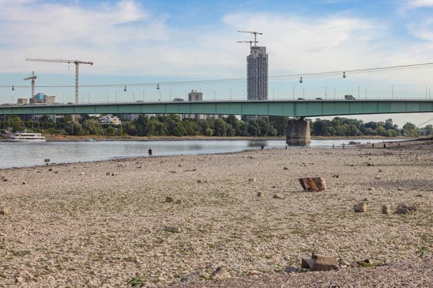 Summer in the Rhineland: View of the Rhine near Cologne (Deutz). The Rhine in Cologne is at low water levels due to persistent drought. In the background are the Zoobrücke bridge and the AXA skyscraper. Summer in the Rhineland on August 9, 2026, in Cologne, Germany