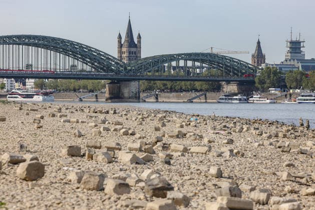 Summer in the Rhineland: View of the Rhine near Cologne, Deutz. The Rhine in Cologne is at low water levels due to persistent drought. In the background is the Hohenzollern Bridge. Summer in the Rhineland on August 9, 2026, in Cologne, Germany