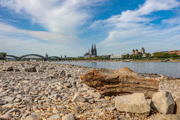 Summer in the Rhineland: View of the Rhine near Cologne (Deutz). The Rhine in Cologne is at low water levels due to persistent drought. In the background, the Hohenzollern Bridge is on the left and Cologne Cathedral is on the right. Summer in the Rhineland on August 9, 2026 in Cologne, Germany