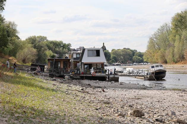 Bad Honnef, Germany, Nature, Climate, Summer, Drought, Rhine, Low Water, Herseler Werth Island, Bornheim Hersel, North Rhine-Westphalia, Germany, August 8, 2026: The drought is causing the Rhine water level—here at Herseler Werth in Bornheim Hersel—to drop to a minimum GER, Nature, Climate, Summer, Drought, Rhine, Lo Copyright: xEibner-Pressefoto JuergenxAugstx EP_JAT