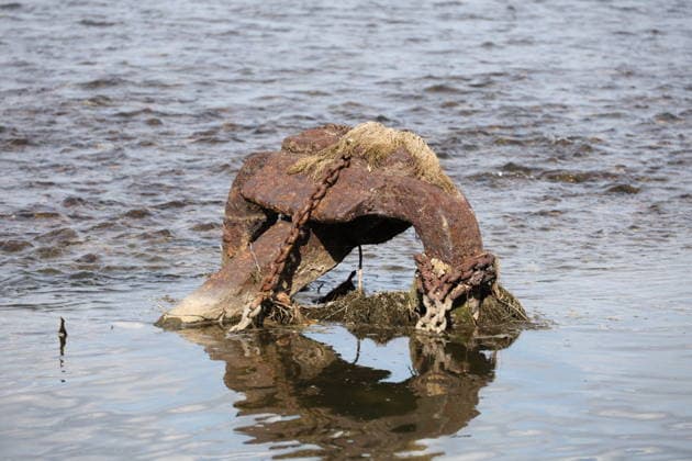 Bad Honnef, Germany, Nature, Climate, Summer, Drought, Rhine, Low Water, Herseler Werth Island, Bornheim Hersel, North Rhine-Westphalia, Germany, August 8, 2026: The drought is causing the Rhine water level—here at Herseler Werth in Bornheim Hersel—to drop to a minimum GER, Nature, Climate, Summer, Drought, Rhine, Lo Copyright: xEibner-Pressefoto JuergenxAugstx EP_JAT