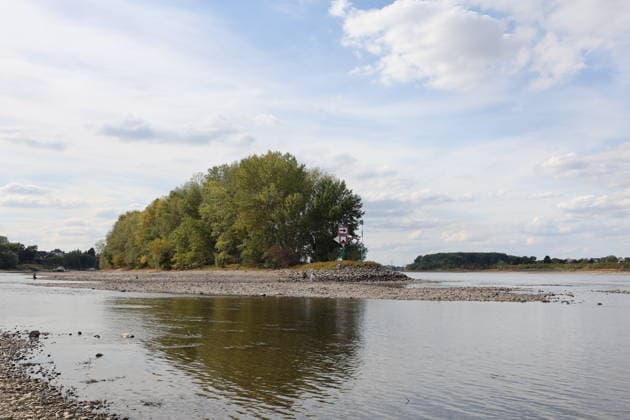 Bad Honnef, Germany, Nature, Climate, Summer, Drought, Rhine, Low Water, Herseler Werth Island, Bornheim Hersel, North Rhine-Westphalia, Germany, August 8, 2026: The drought is causing the Rhine water level—here at Herseler Werth in Bornheim Hersel—to drop to a minimum GER, Nature, Climate, Summer, Drought, Rhine, Lo Copyright: xEibner-Pressefoto JuergenxAugstx EP_JAT