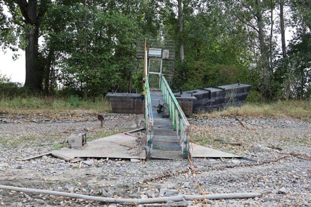 Bad Honnef, Germany, Nature, Climate, Summer, Drought, Rhine, Low Water, Herseler Werth Island, Bornheim Hersel, North Rhine-Westphalia, Germany, August 8, 2026: The drought is causing the Rhine water level—here at Herseler Werth in Bornheim Hersel—to drop to a minimum GER, Nature, Climate, Summer, Drought, Rhine, Lo Copyright: xEibner-Pressefoto JuergenxAugstx EP_JAT